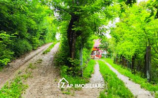 Teren Platou - 1613 mp - cu căbănuță intabulată– vedere panoramica - Poză 6