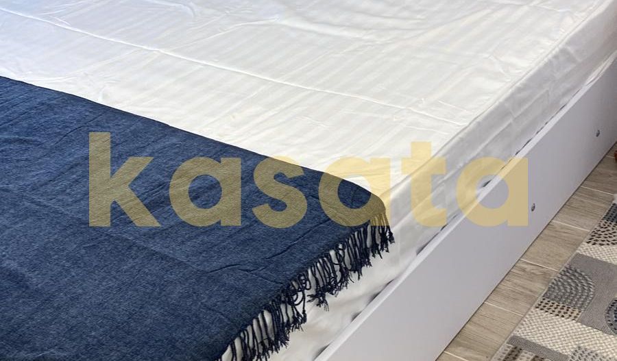 Apartament 2 camere Herastrau - Poză 9