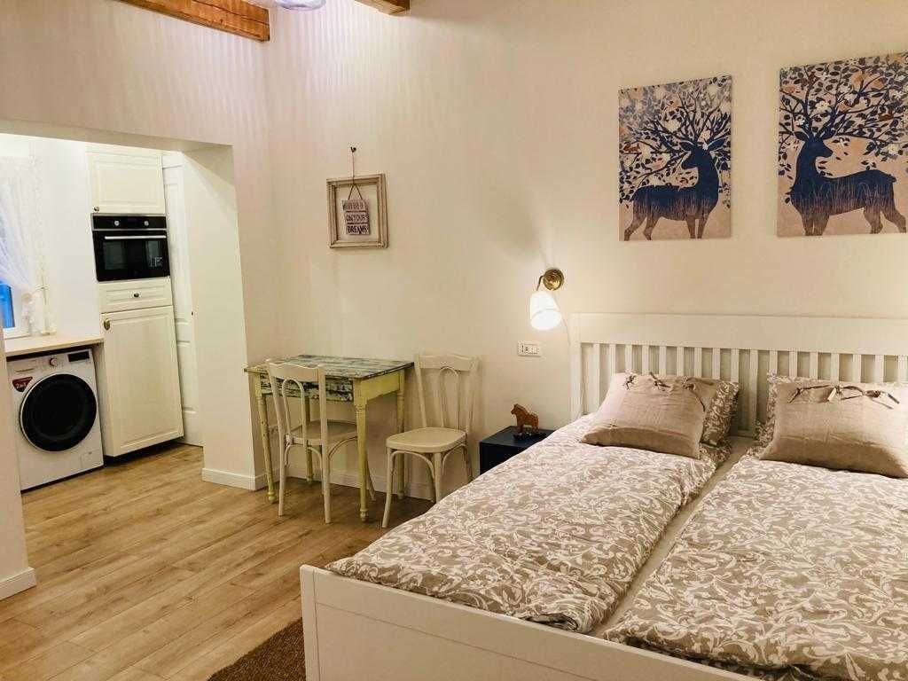 Cladire cu 2 studiouri Cluj-Napoca, Strada Horea – ideală investiție - Poză 3