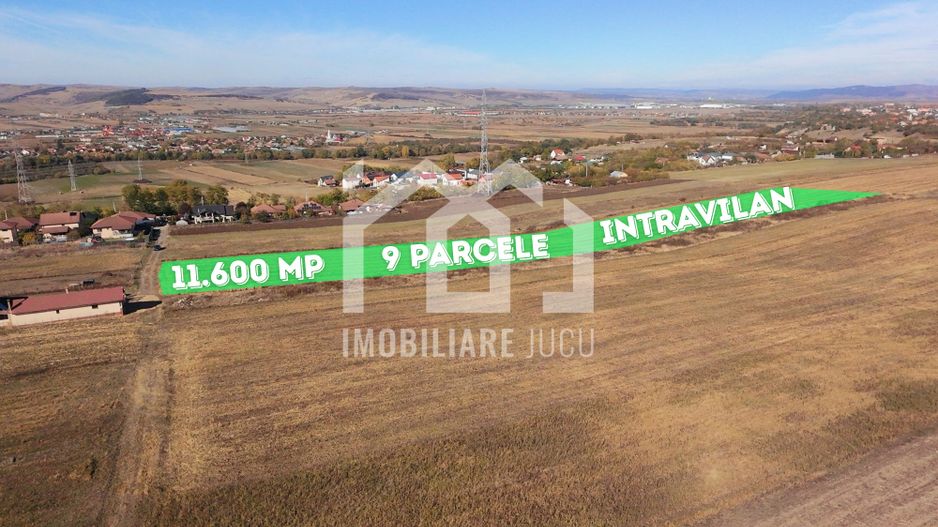 Oportunitate de investiție și dezvoltare – 11.600 mp | Jucu de Sus - Poză 4