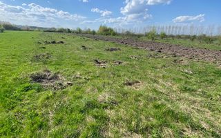 18 Ari | Horodnic de Sus | 500euro Ar - Poză 2