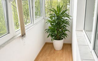 Apartament 4 camere - malul Crișului - Poză 9