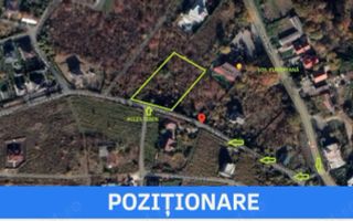 # - Teren intravilan - Bucium (Casa Boiereasca) Aleea cu pini - Poză 4