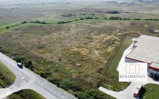 Teren PUZ Aprobat Pretabil Hale | 55.000mp - Park Industrial Sanandrei - Poză 3