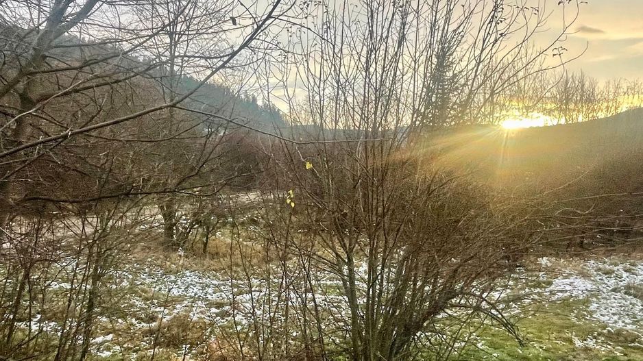 TEREN INTRAVILAN 2,26 HA | SUCEVITA | - Poză 11