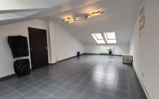 Spatiu de birou, depozitare, zona Centrala, Platinia, Motilor - Poză 1