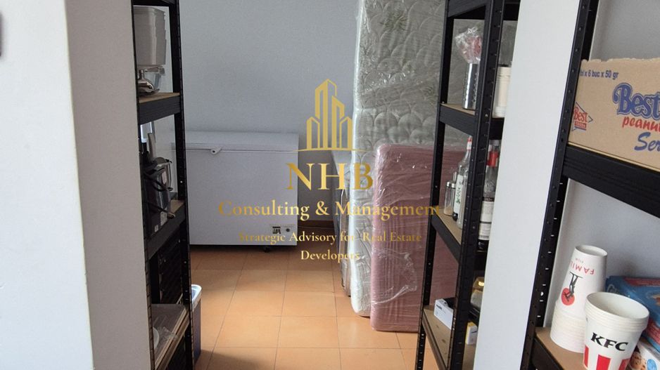 Spațiu Comercial de Vânzare în Domenii – 14 Camere, 351 mp Teren - Poză 11
