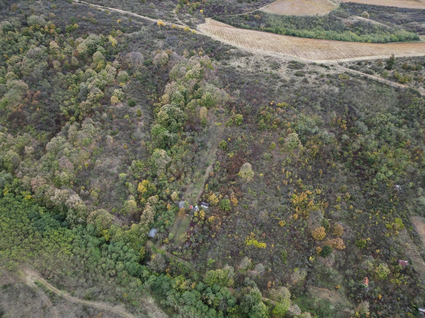 Teren 18,300mp Ghioroc - Poză 19