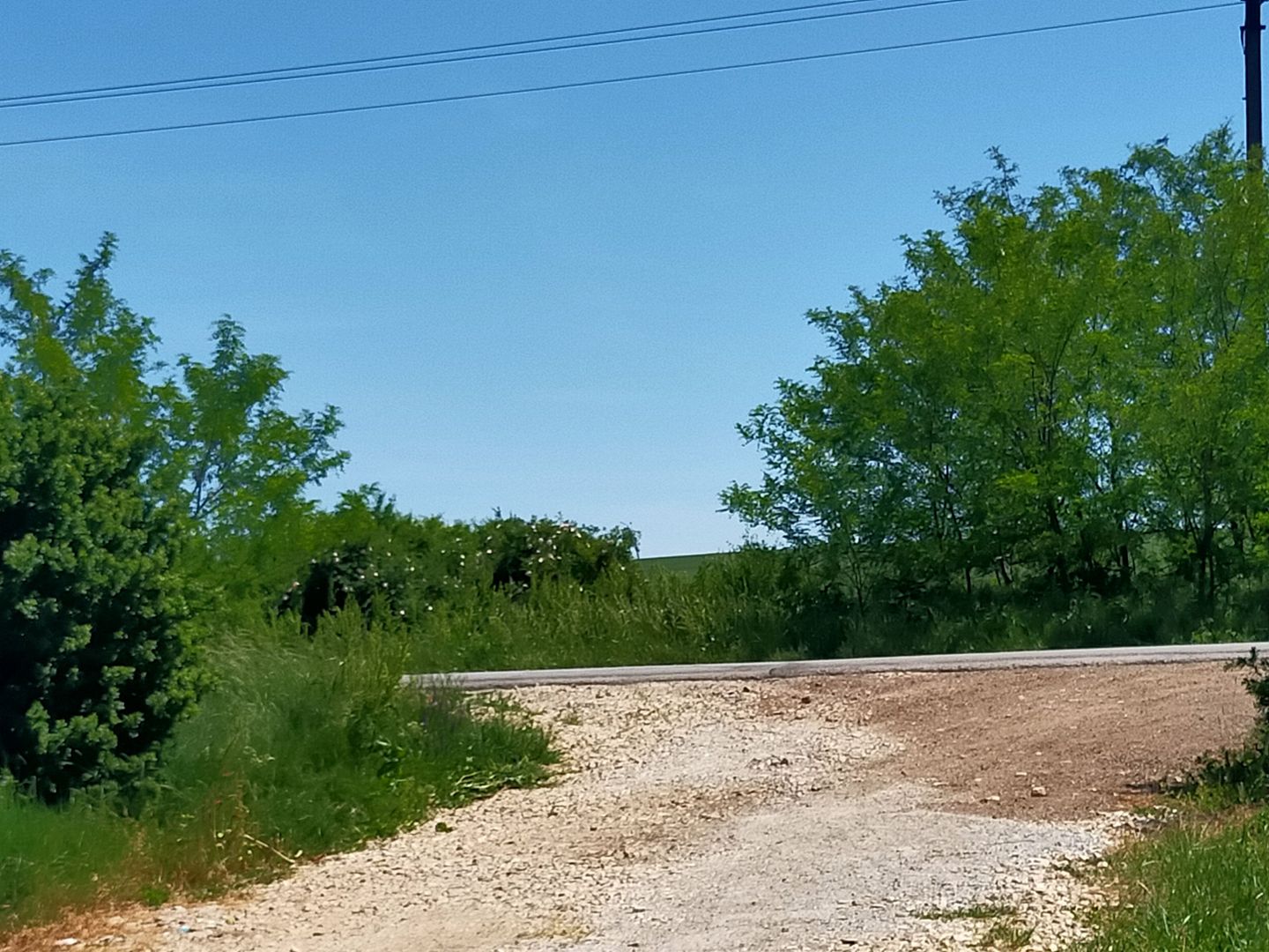 Un strop de liniște aproape de Timișoara - Poză 3