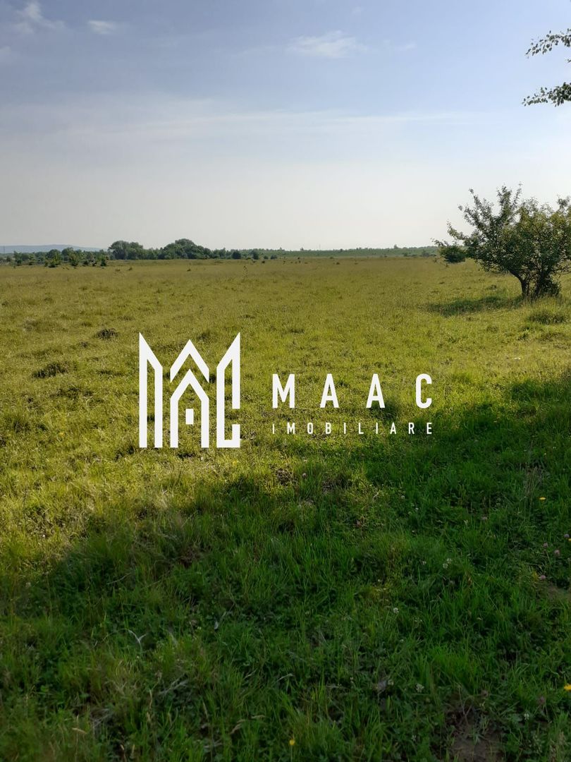 Teren  | Intravilan |5.000 MP | Valea Avrigului - Poză 1