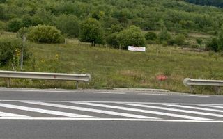 Exclusivitate. Teren Intravilan 1000 mp, deschidere la DN17 - Poză 4