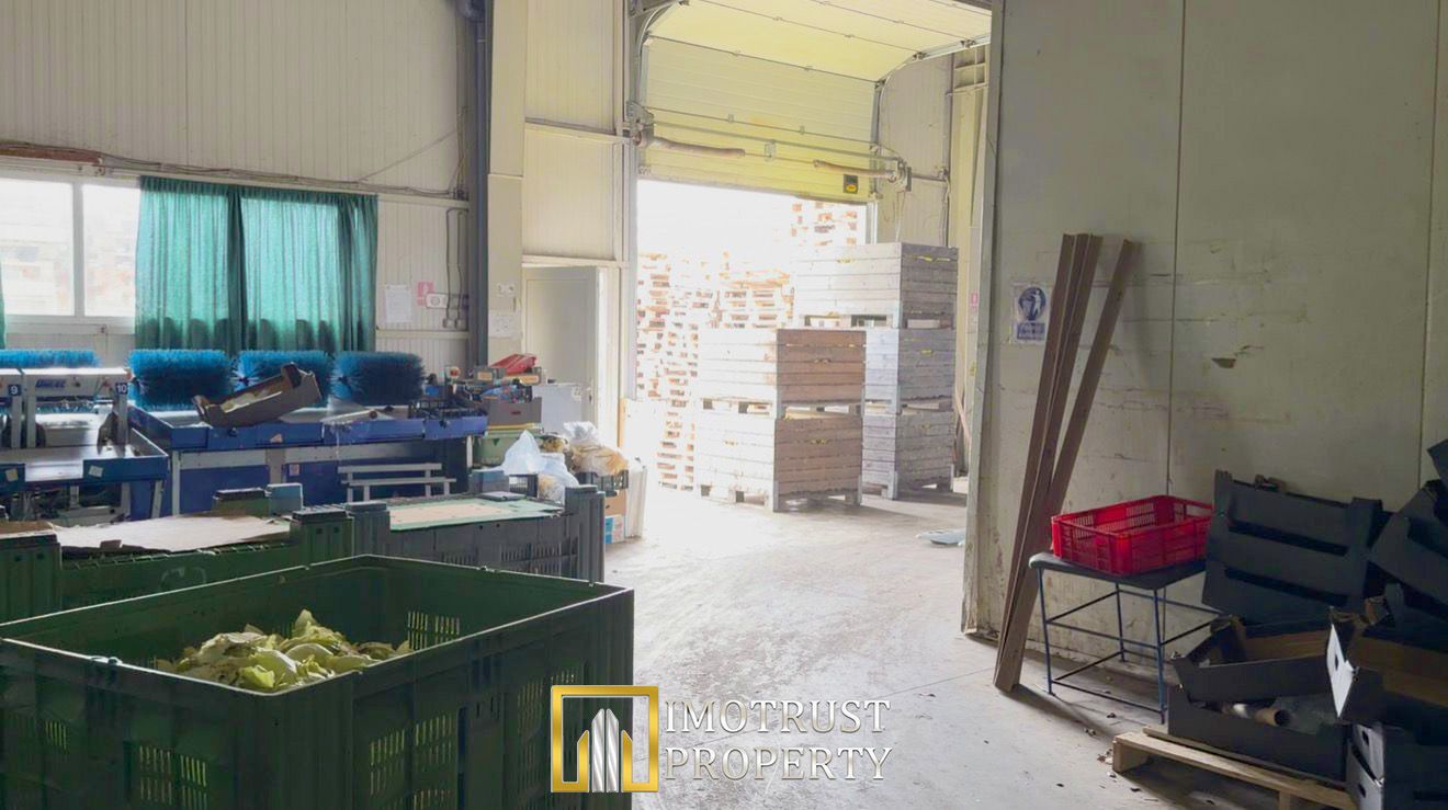 Hala industrială de vanzare Arad 540 mp, depozitare la rece, acces TIR - Poză 4