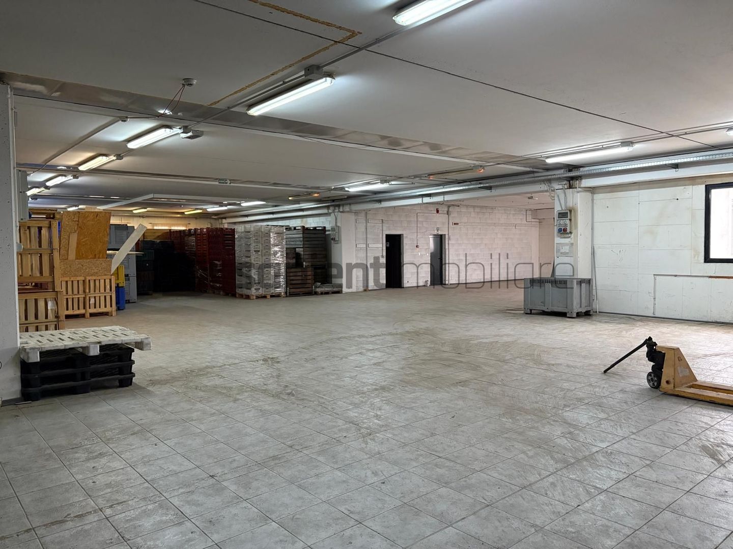 Sapient | Hală situata în com. Borș - Poză 7