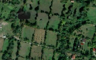 VANZARE 5 LOTURI TEREN PENTRU CASE DE VACANTE | TESILA | VALEA DOFTANEI | - Poză 2