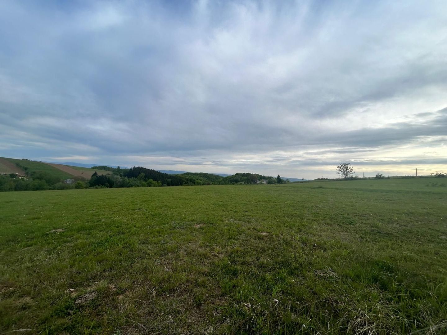 TEREN DE VANZARE IN SINTEU - Poză 1