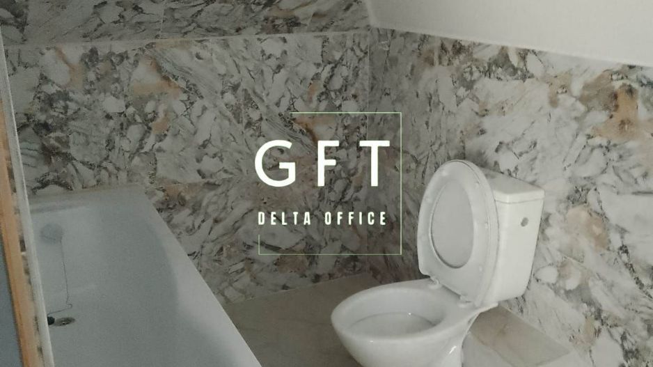 Casa P+M, 181 mp, recent renovata, Unirea - Poză 14