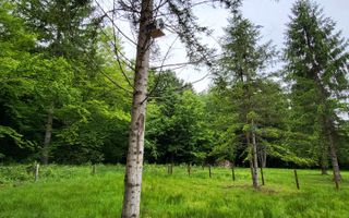 Teren Valea Avrigului- 1000 mp- Intravilan+ Certificat de urbanism - Poză 2