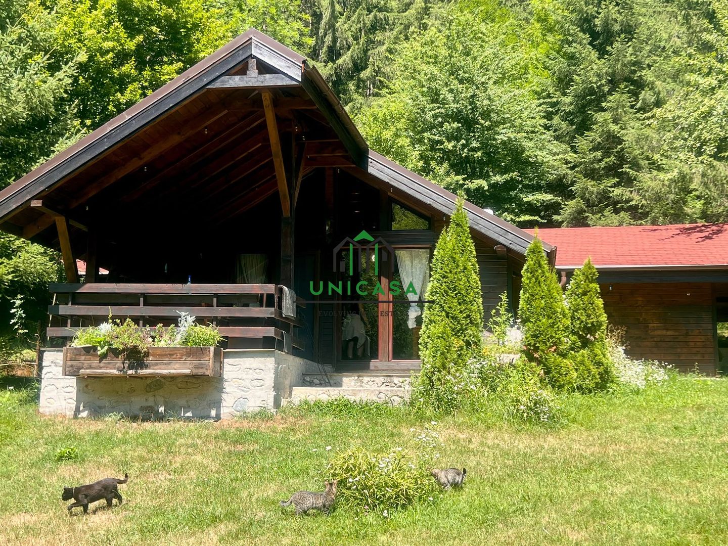Proprietate deosebita de vanzare – Voinesița, Comuna Voineasa - Poză 3