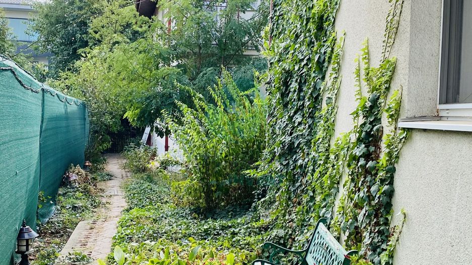 2 VILE CU TEREN DE 811 MP - Poză 9