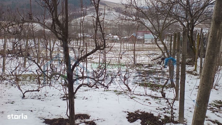 Teren intravilan 704 mp, acces asfaltat, priveliste Padurea Breazu - Poză 7