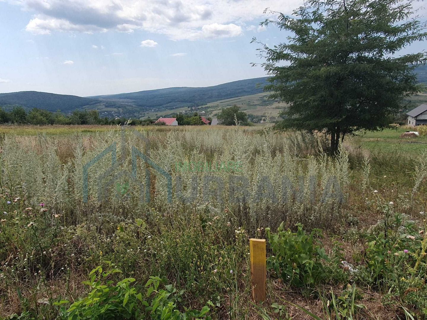 Teren intravilan construibil, 1.219 mp, zona Chicirea/Tomești, 25 euro/mp - Poză 4