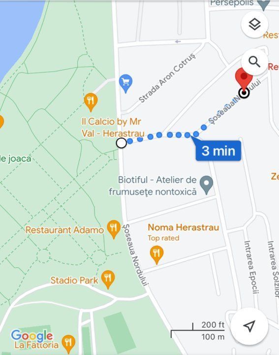 Apartament luminos cu gradina Sos Nordului Parc  Herastrau - Poză 15