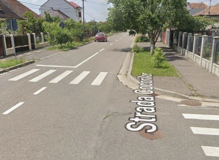 Casa, anexe din caramida plina 3-5 cam cart Viitorului zona linista - Poză 5