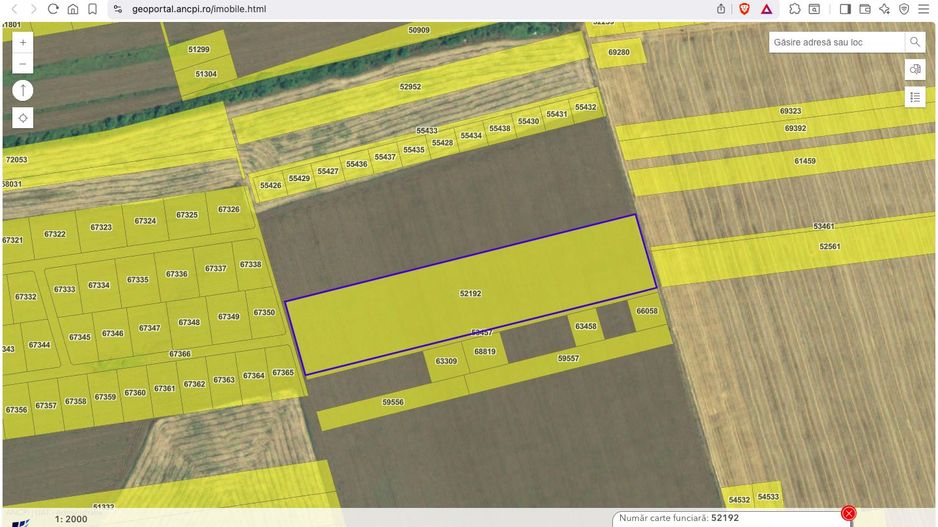Teren intravilan 18.200 mp Saftica Balotesti - Poză 2