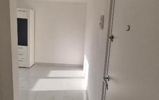 Garsoniera renovata zona Sagului - Poză 4