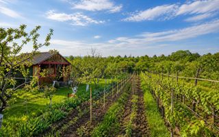 Teren intravilan 1500 mp, Tomesti – Chicerea, 10 km de Iasi, utilitati la limita - Poză 1