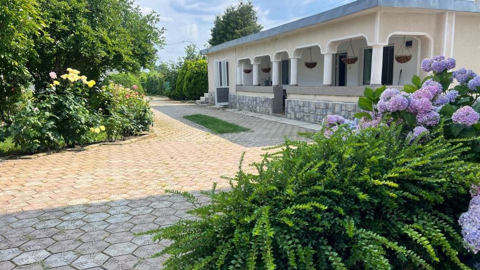 Casa visurilor cu 4000 mp livada roditoare si gradina Darmanesti-Arges - Poză 1