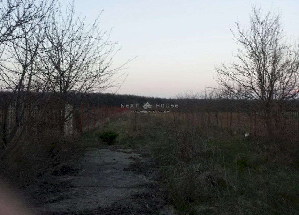 Casa Vacanta Izvorani - Poză 4