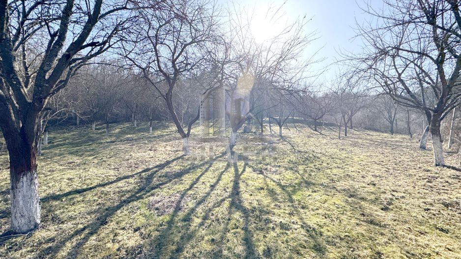 Casa pe 3 niveluri cu teren de 1900 mp in Com. Baisoara. - Poză 4