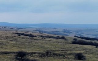 Teren extravilan Dealul Daii Sibiu - 67500 mp - Poză 2