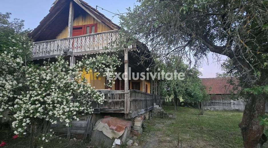 Casă cu 7.769 mp teren și pădure | Budieni | 53.000€ - Poză 12