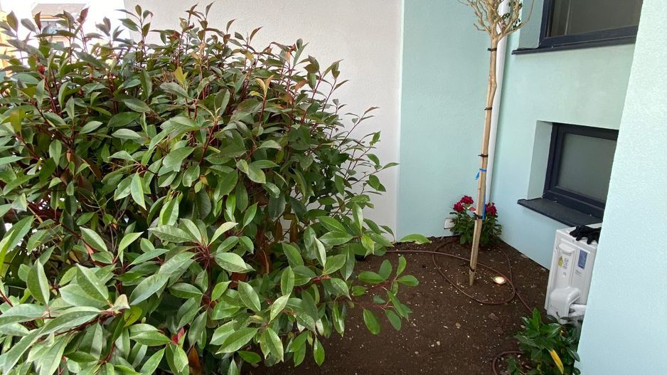 Apartament 3 camere - Dumbravita - Poză 4