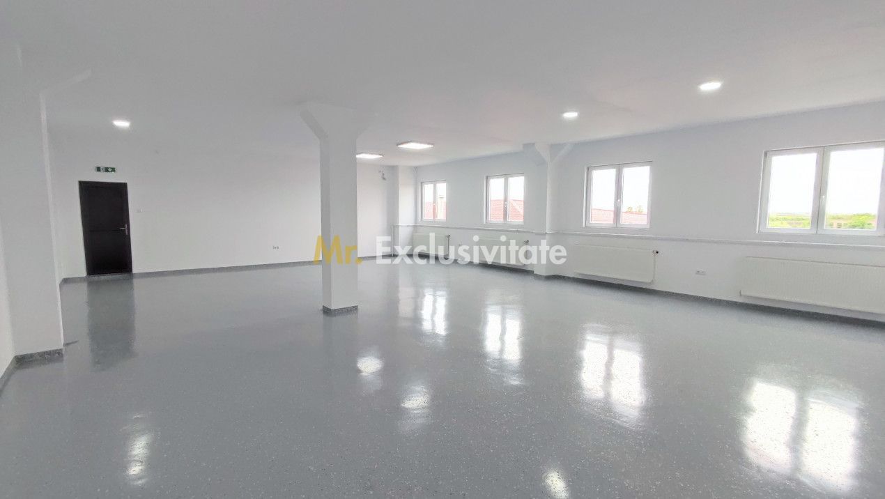 Inchiriere Spații de Birouri/Producție - Str. Uzinei - Carei - Comision 0% - Poză 2