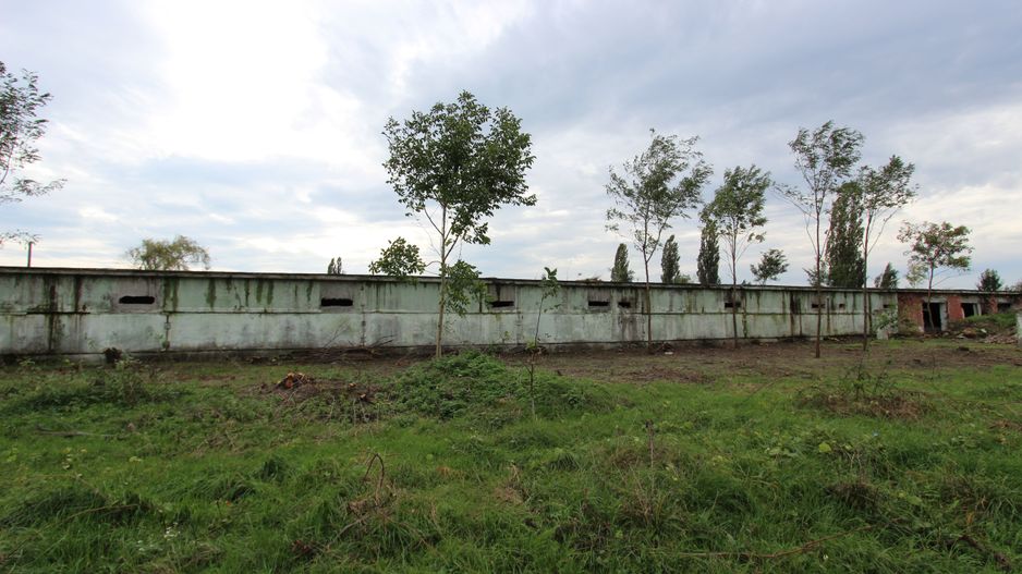 Vanzare hale Mosnita Noua-fosta Ferma 7 - Poză 9