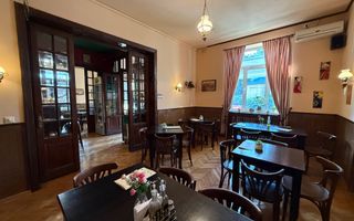 VILA LOCATIE UNICA GRADINA ICOANEI - Poză 5