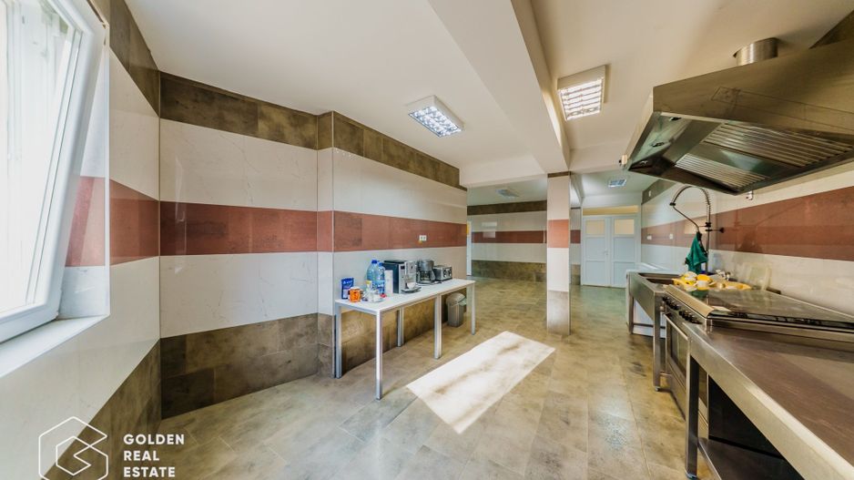 Proprietate pretabila pentru afacere, Cladova - Poză 23
