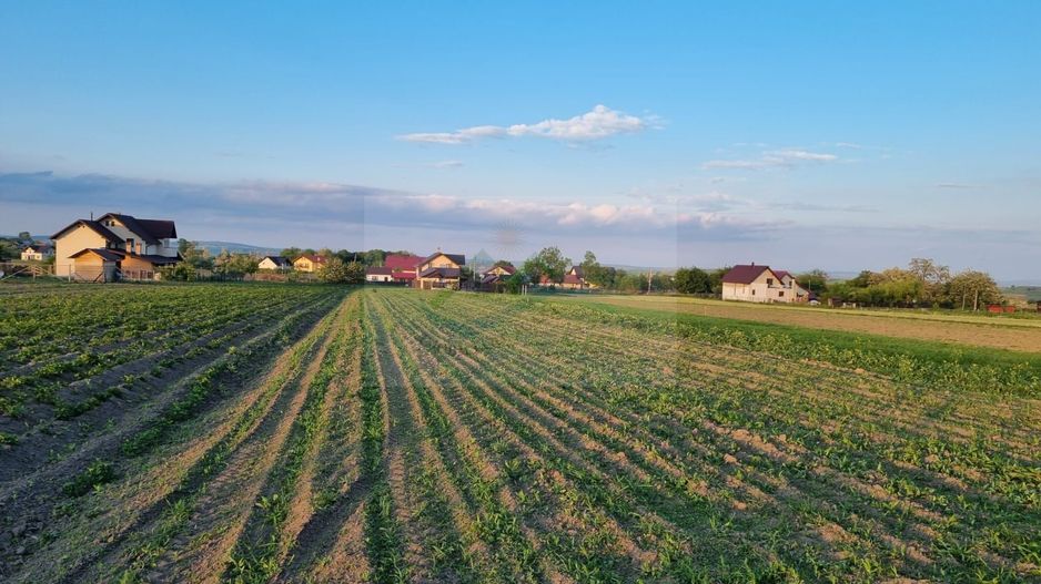 Teren intravila Ilișești - Poză 1