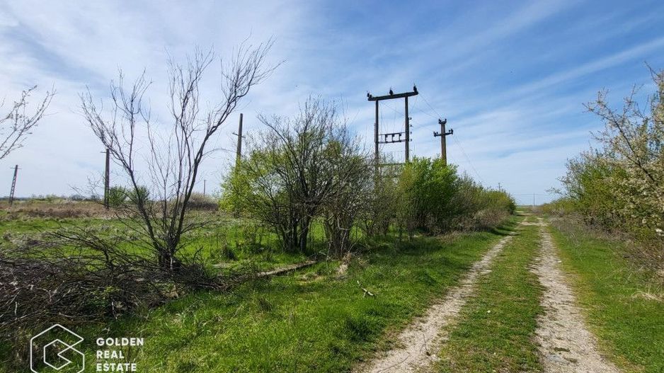 Teren extravilan, 22.5 ha, comuna Maureni - Poză 3