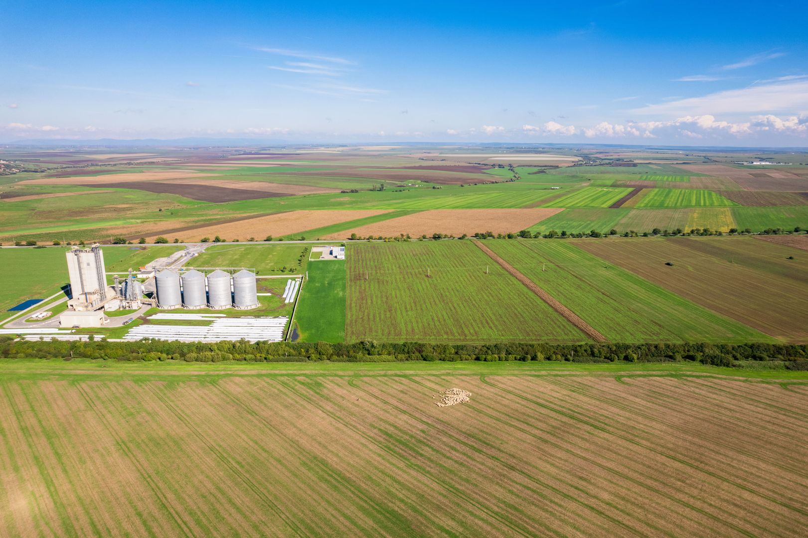 Teren de 104000 mp în Vinga - Poză 6