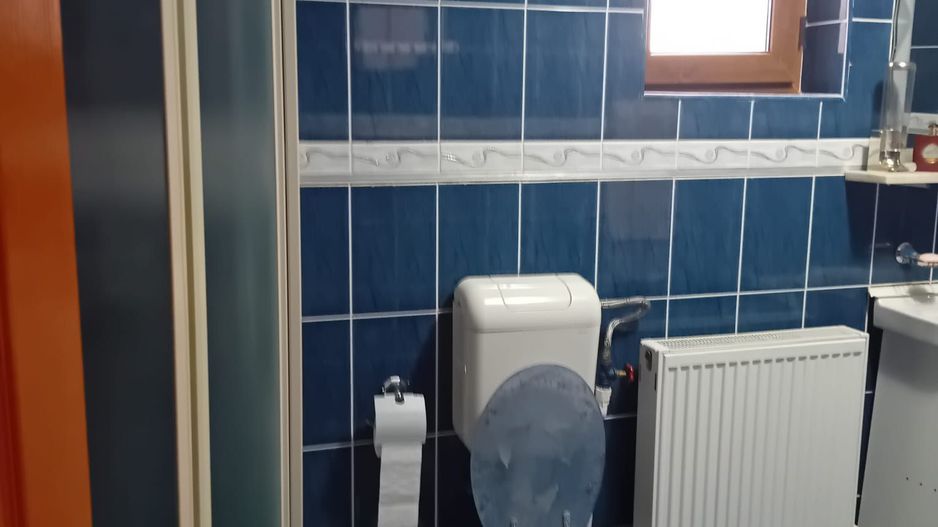 Casă Spațioasă P+1+M, 265 mp Utili, 1000 mp Teren – Toate Utilitățile, Vânători - Poză 10