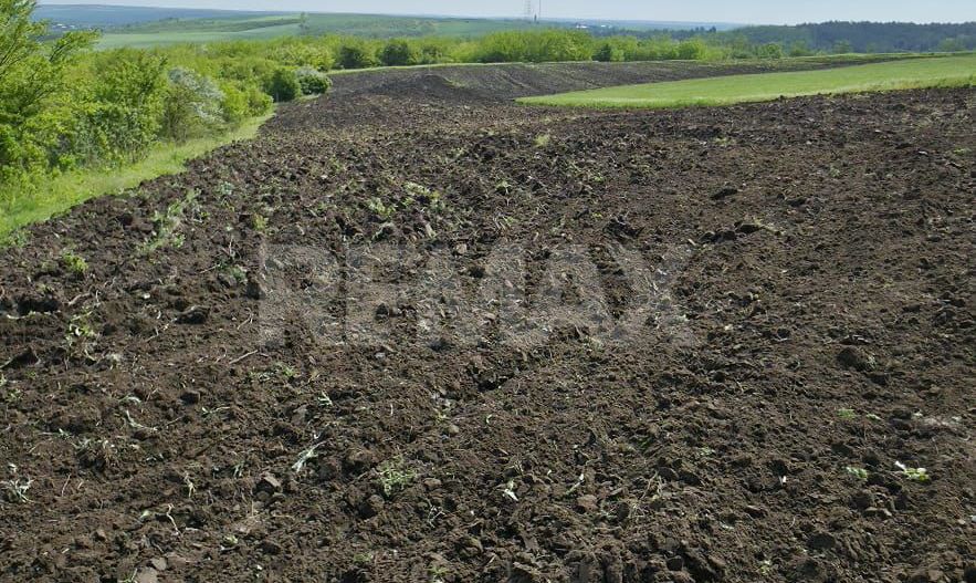 De vânzare – Teren agricol 40 ari, Cimișlia - Poză 4