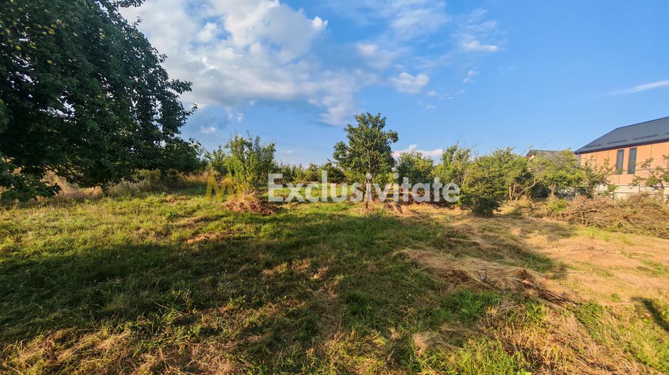 Teren intravilan 1.600 mp Mioveni – Zona Pruni - Poză 6