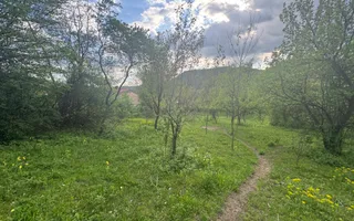 TEREN INTRAVILAN 7018 MP CAMPULUNG - Poză 13