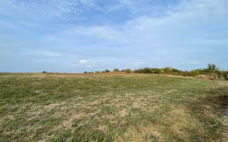 Teren intravilan ***15.000mp*** deschidere Lac Snagov 120ml // Snagov - Poză 6