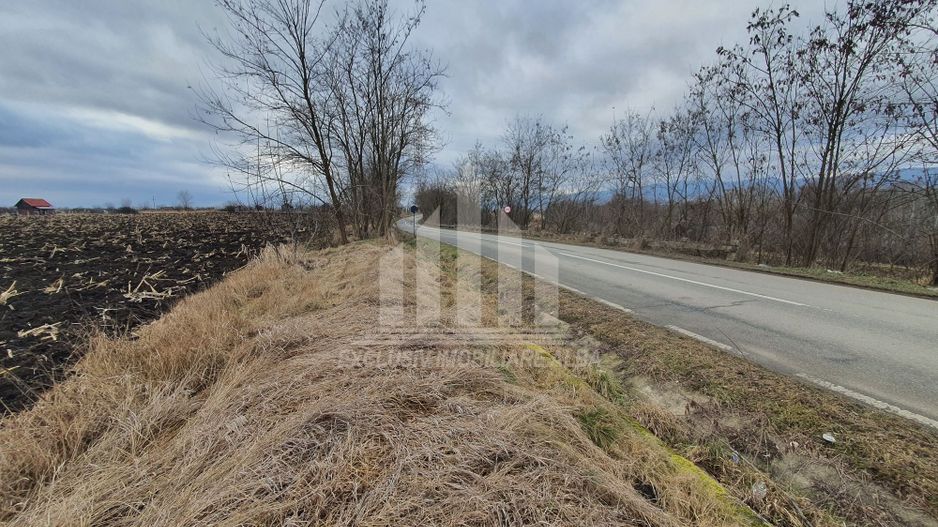 Vand teren extravilan - Poză 5