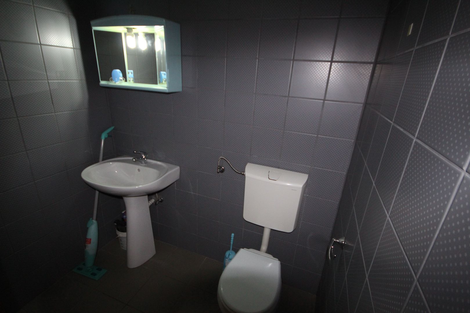 Imobil  cu destinatie mixta - Poză 13